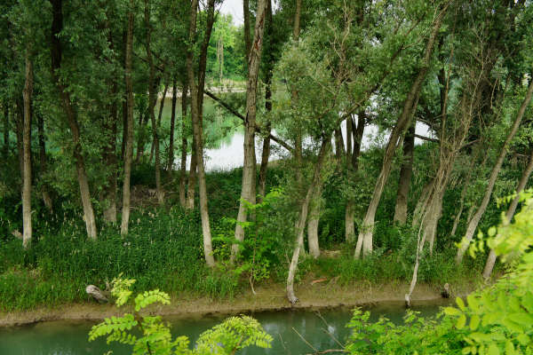 city bike Palazzina, Tessara, Tavo, Torre di Burri, Cocche