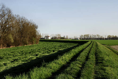 Limena lungo gli argini del fiume Brenta