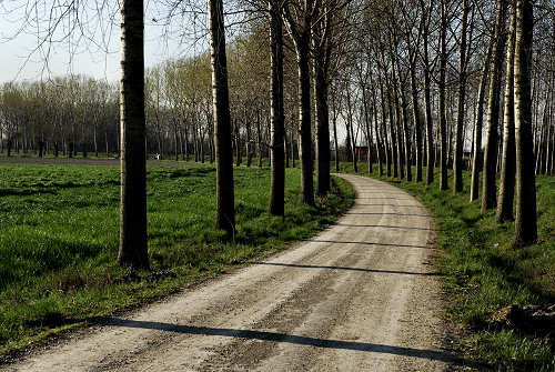 Limena lungo gli argini del fiume Brenta