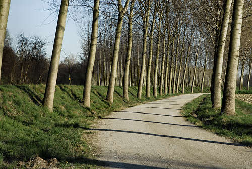 Limena lungo gli argini del fiume Brenta