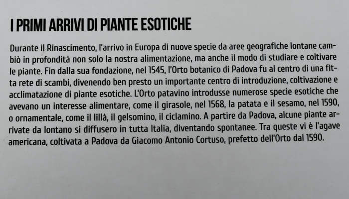 Padova Orto Botanico Universitario