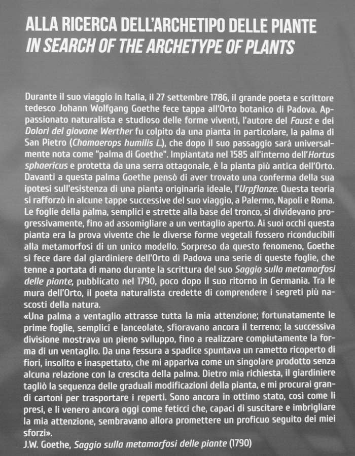 Padova Orto Botanico Universitario