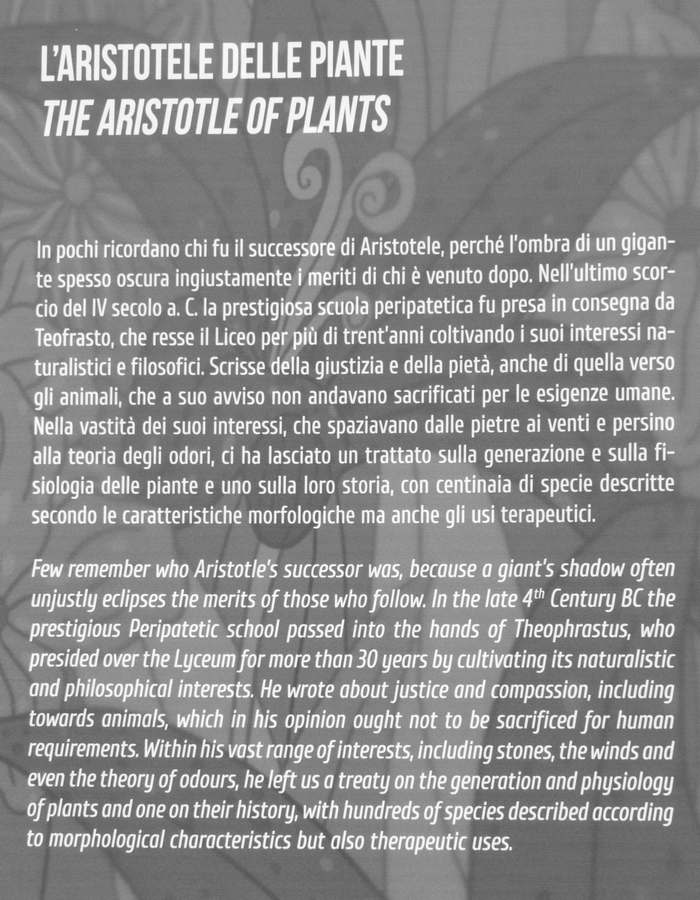 Padova Orto Botanico Universitario