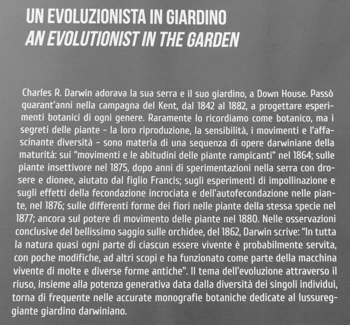 Padova Orto Botanico Universitario