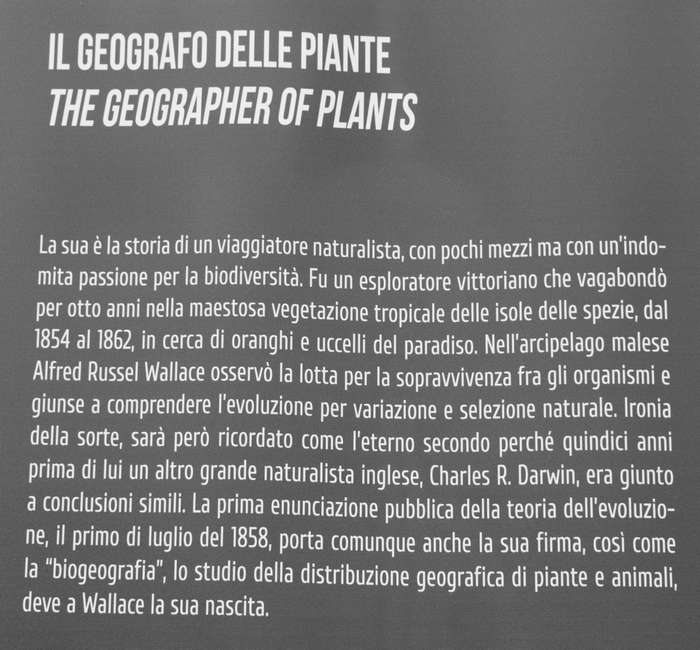 Padova Orto Botanico Universitario