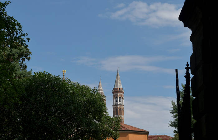 Orto Botanico di Padova giardino botanico universitario