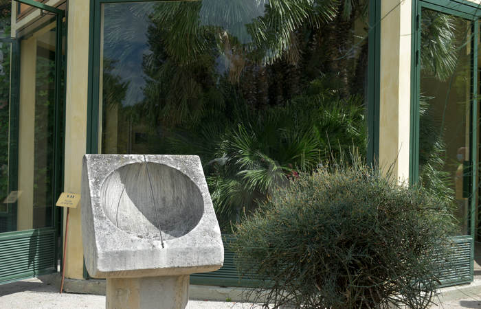 Orto Botanico di Padova giardino botanico universitario