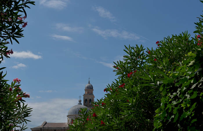 Orto Botanico di Padova giardino botanico universitario
