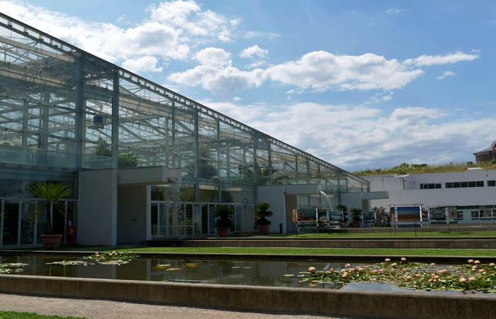 Orto Botanico di Padova giardino botanico universitario