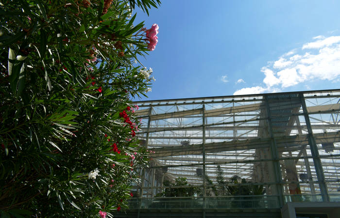 Orto Botanico di Padova giardino botanico universitario