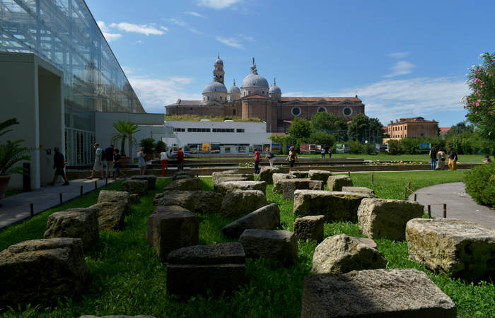 Orto Botanico di Padova giardino botanico universitario