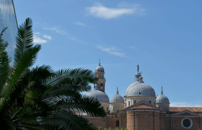 Orto Botanico di Padova giardino botanico universitario
