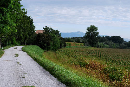 area naturalistica del Brenta a Piazzola sul Brenta