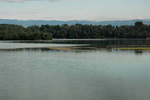 area naturalistica del Brenta a Piazzola sul Brenta