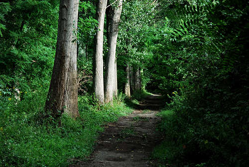 Piazzola sul Brenta: area naturalistica lungo il fiume Brenta, Villa  Contarini pista ciclabile del Brenta Ostiglia ciclabile, gps mtb nw path  area naturalistica del Brenta, laghetti ex cave sulla Brenta, percorsi ciclo