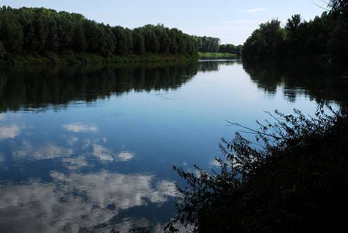 area naturalistica del Brenta a Piazzola sul Brenta