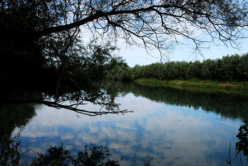 area naturalistica del Brenta a Piazzola sul Brenta