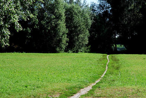 area naturalistica del Brenta a Piazzola sul Brenta