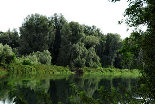 area naturalistica del Brenta a Piazzola sul Brenta