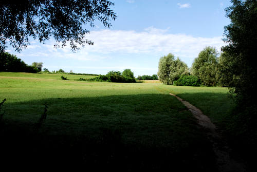 area naturalistica del Brenta a Piazzola sul Brenta