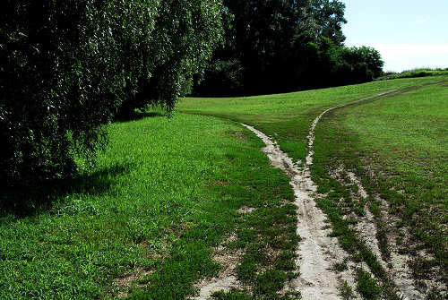 area naturalistica del Brenta a Piazzola sul Brenta