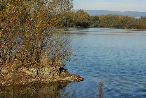 Piazzola sul Brenta, fiume Brenta, Presina