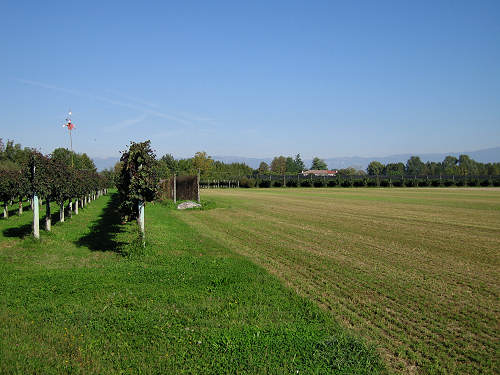 San Giorgio in Bosco, Persegara