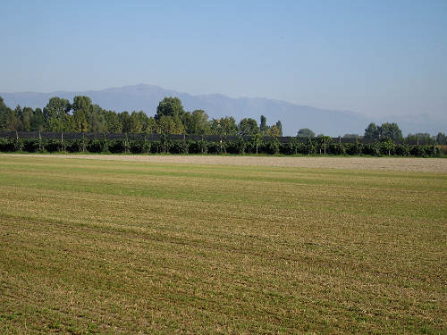 San Giorgio in Bosco, Persegara