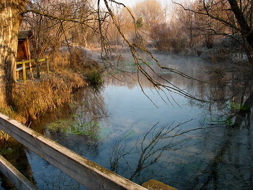 Palude di Onara a Tombolo, risorgive del fiume Tergola