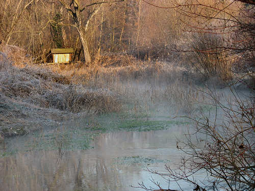 Palude di Onara a Tombolo, risorgive del fiume Tergola