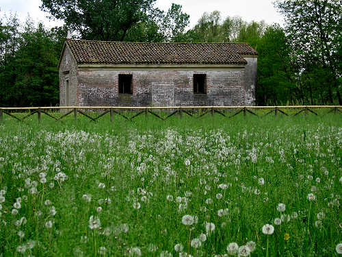 Palude di Onara a Tombolo, risorgive del fiume Tergola