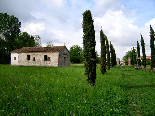 Palude di Onara a Tombolo, risorgive del fiume Tergola