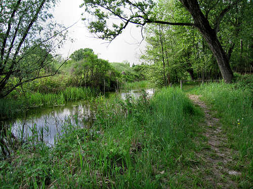 Palude di Onara a Tombolo, risorgive del fiume Tergola