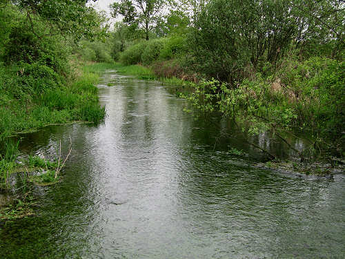 Palude di Onara a Tombolo, risorgive del fiume Tergola