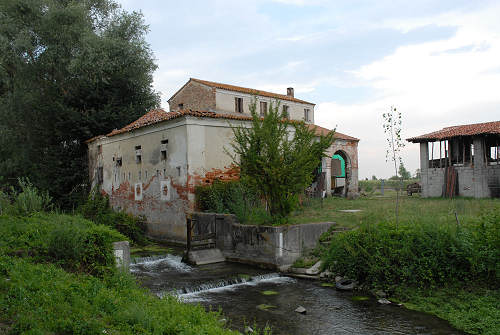 Palude di Onara a Tombolo, risorgive del fiume Tergola