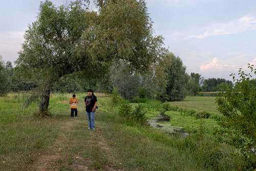 Palude di Onara a Tombolo, risorgive del fiume Tergola