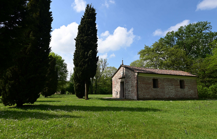 Palude di Onara a Tombolo, risorgive del fiume Tergola