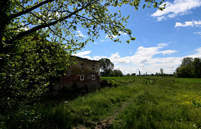 Palude di Onara a Tombolo, risorgive del fiume Tergola