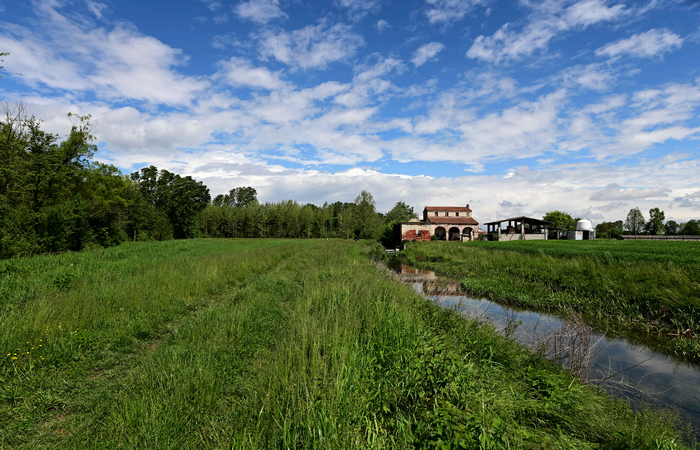 Palude di Onara a Tombolo, risorgive del fiume Tergola