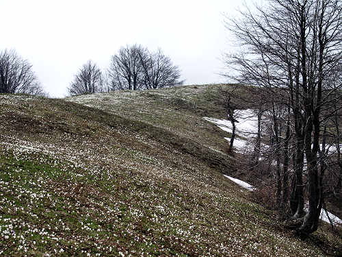 rifugio Bertagnoli alla Piatta, passo Scagina, monte Gramolon