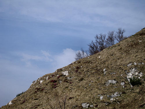 rifugio Bertagnoli alla Piatta, passo Scagina, monte Gramolon