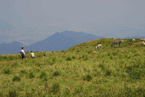 Recoaro 1000, Pizzegoro Monte Falcone