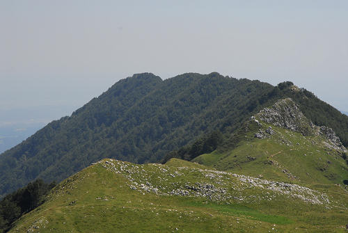 Recoaro 1000, Pizzegoro Monte Falcone