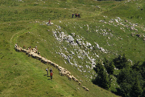 Recoaro 1000, Pizzegoro Monte Falcone