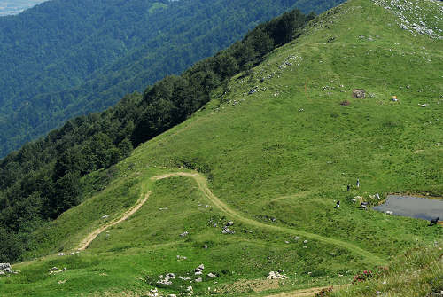 Recoaro 1000, Pizzegoro Monte Falcone