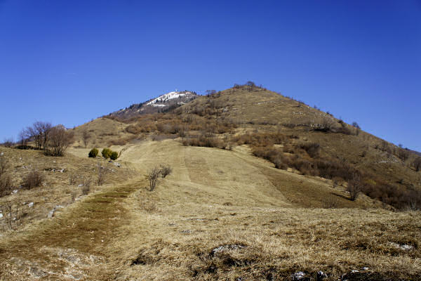 Santuario di Sant'Orso a Santorso