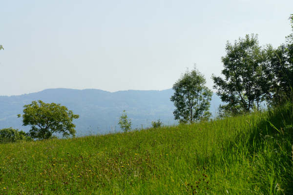 Chiampo, Marana, Valdagno