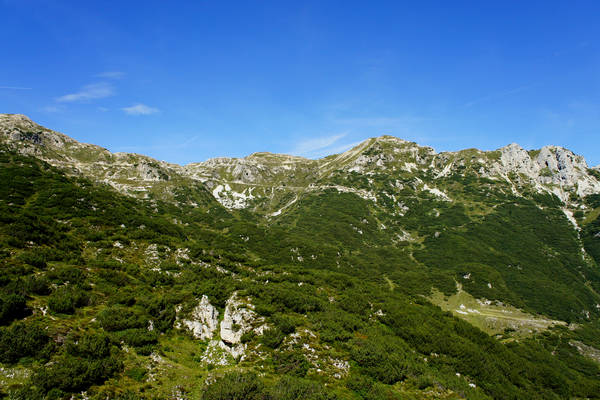 salita al rifugio Papa al Pasubio, strada Scarubbi strada Eroi
