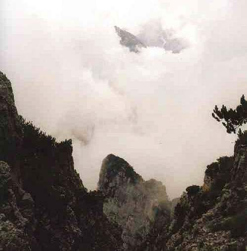 Monte Pasubio - Vajo del Pino