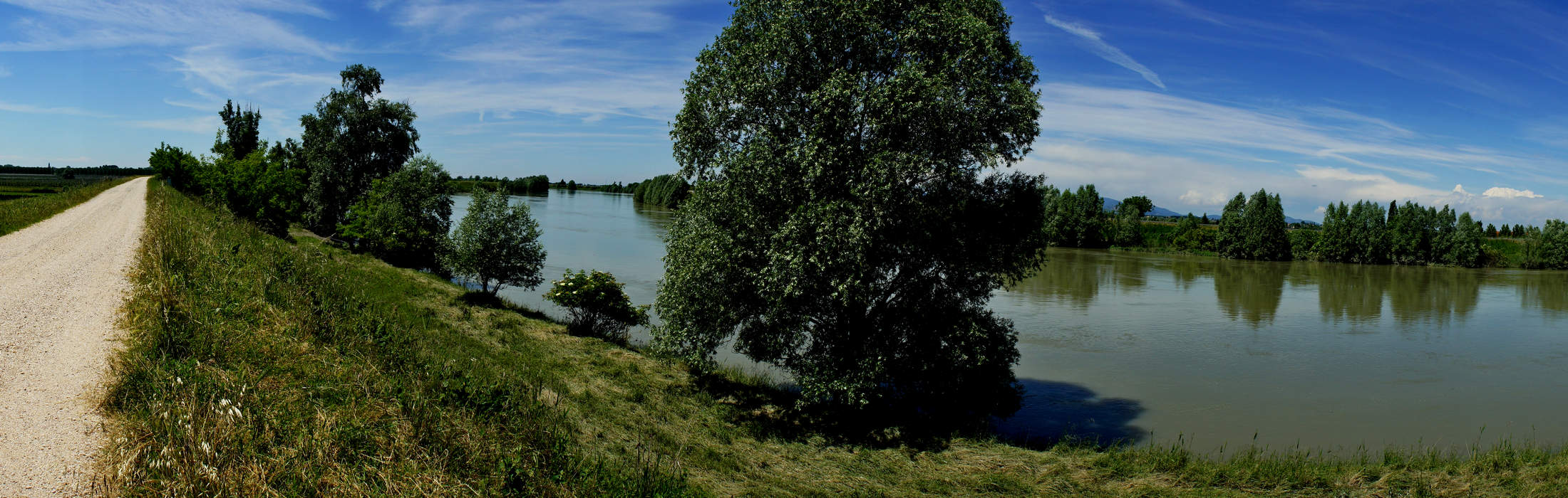il fiume Adige, argine a Boara Polesine